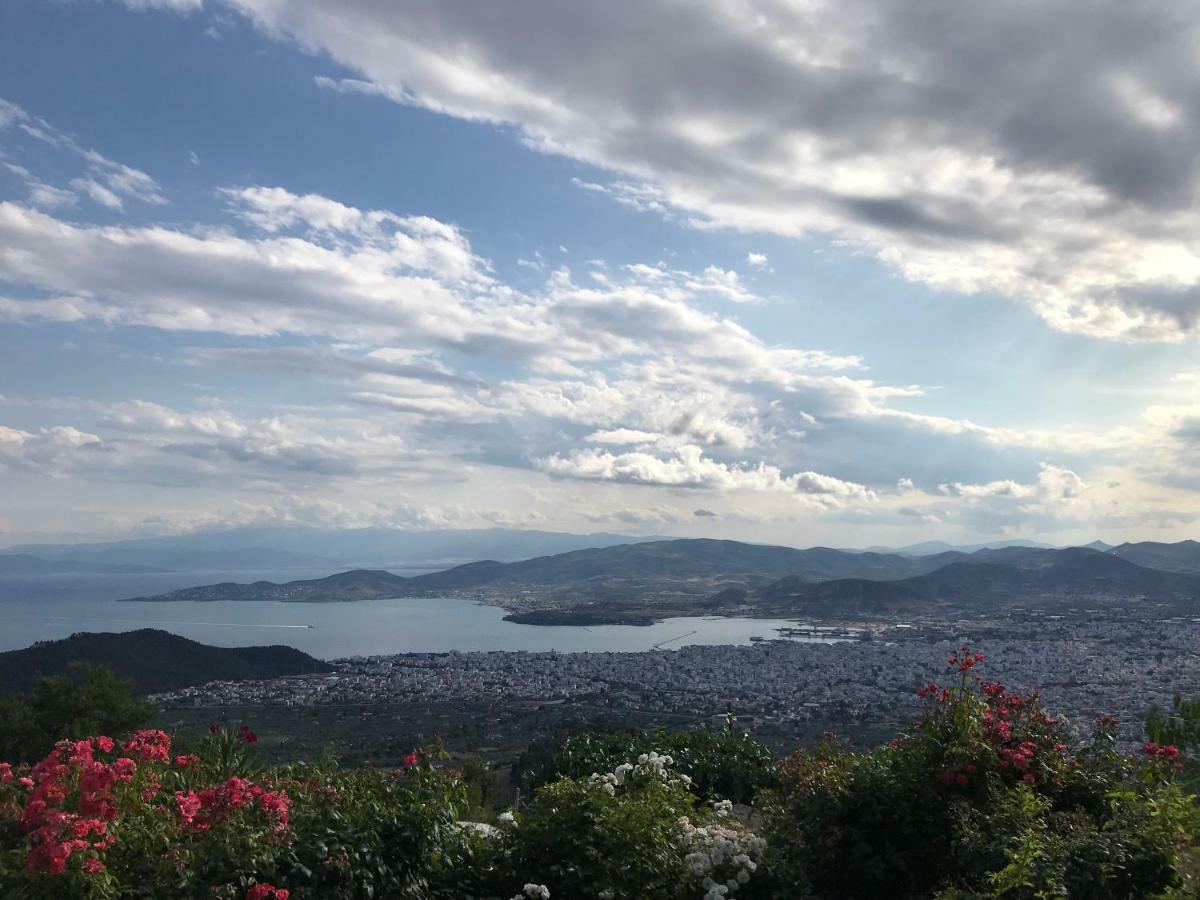 Maria Lux Apartments Volos Bagian luar foto